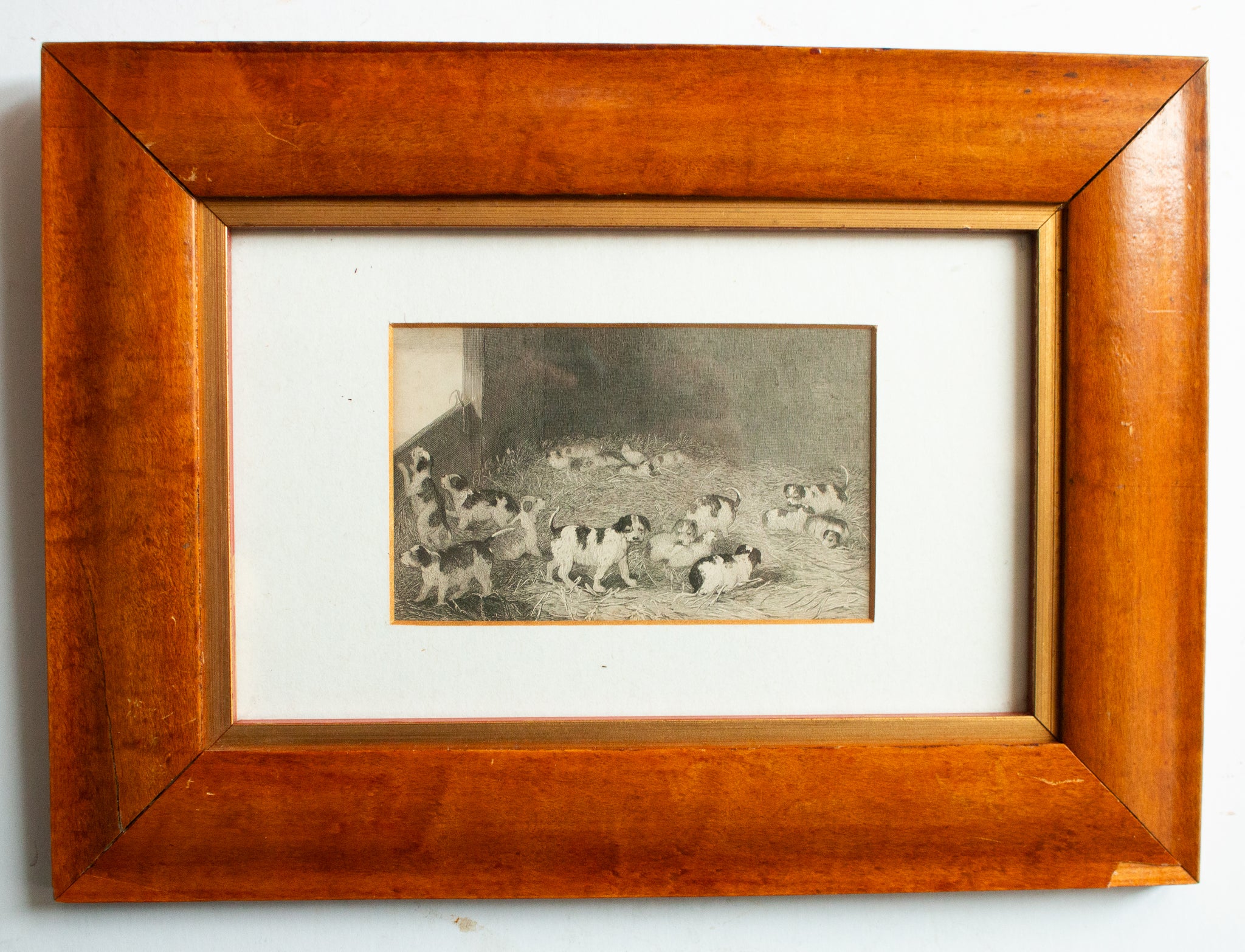 Vintage Puppies in Shed Engraving in Maple Veneer Frame