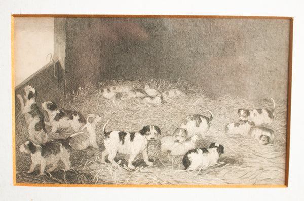 Vintage Puppies in Shed Engraving in Maple Veneer Frame