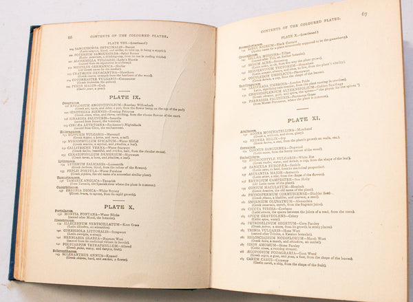 Antique Botanical Book 'Our Country's Flowers' by W. J. Gordon, 1910
