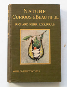Antique Natural History Book 'Nature Curious & Beautiful' by Richard Kerr, 1903