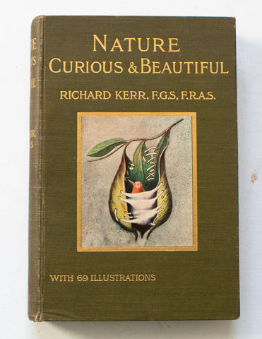 Antique Natural History Book 'Nature Curious & Beautiful' by Richard Kerr, 1903