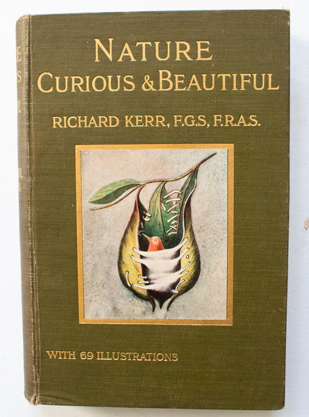 Antique Natural History Book 'Nature Curious & Beautiful' by Richard Kerr, 1903