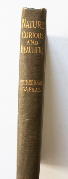 Antique Natural History Book 'Nature Curious & Beautiful' by Richard Kerr, 1903