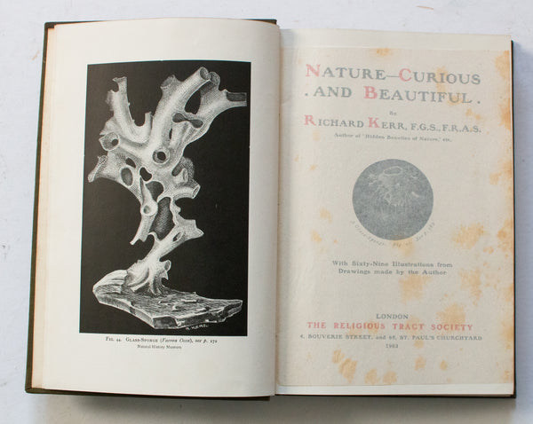 Antique Natural History Book 'Nature Curious & Beautiful' by Richard Kerr, 1903