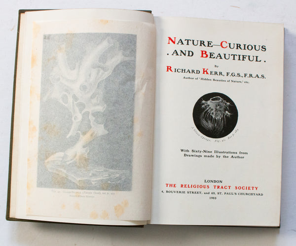 Antique Natural History Book 'Nature Curious & Beautiful' by Richard Kerr, 1903