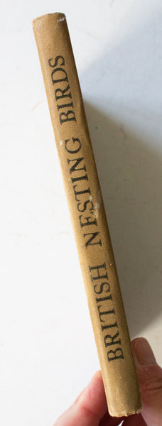 Antique Natural History Book 'British Nesting Birds' by W. Percival Westell