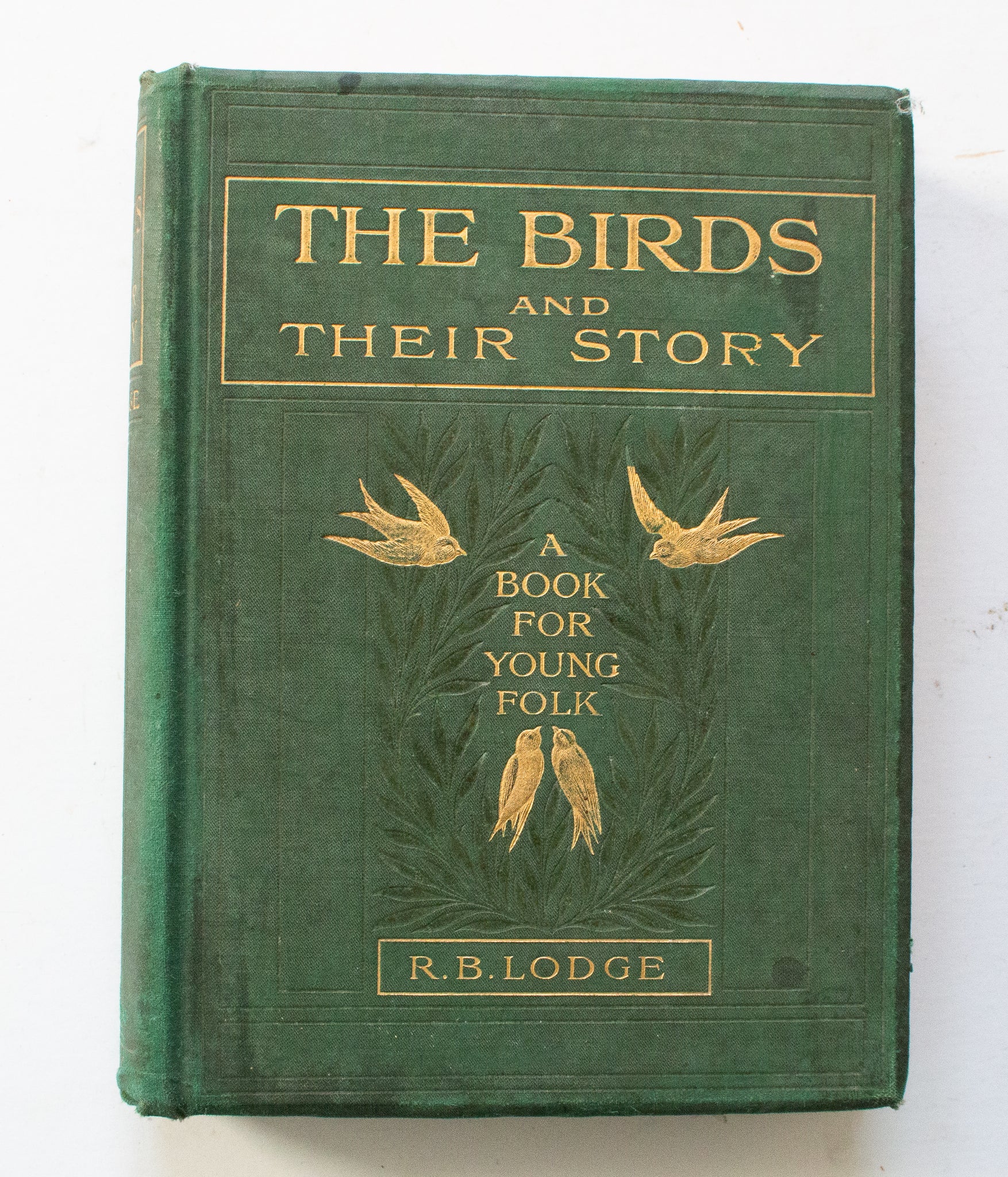 Antique Natural History Book 'The Birds and their Story: A Book for Young Folk' by R. B. Lodge