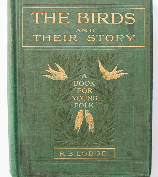 Antique Natural History Book 'The Birds and their Story: A Book for Young Folk' by R. B. Lodge