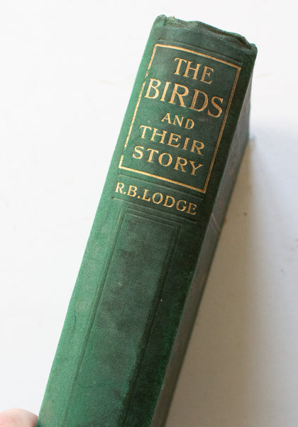 Antique Natural History Book 'The Birds and their Story: A Book for Young Folk' by R. B. Lodge