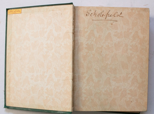 Antique Natural History Book 'The Birds and their Story: A Book for Young Folk' by R. B. Lodge
