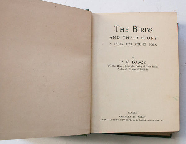 Antique Natural History Book 'The Birds and their Story: A Book for Young Folk' by R. B. Lodge
