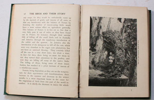 Antique Natural History Book 'The Birds and their Story: A Book for Young Folk' by R. B. Lodge