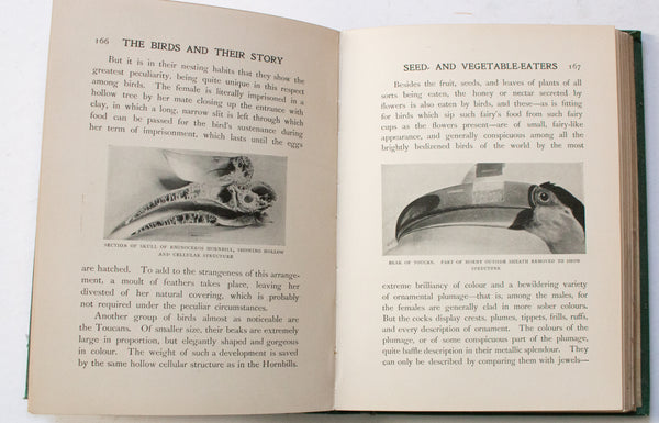 Antique Natural History Book 'The Birds and their Story: A Book for Young Folk' by R. B. Lodge
