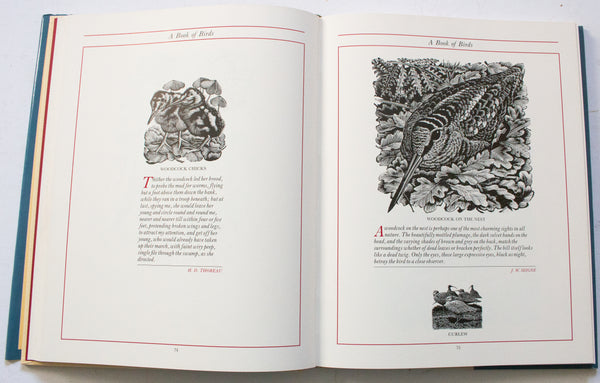 Vintage Natural History Book 'Tunnicliffe's Countryside' by Ian Niall