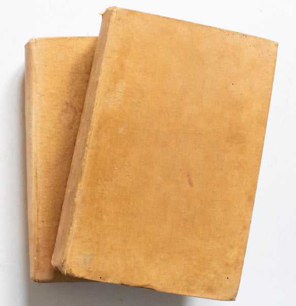 Vintage Art Book 'The Life of Michelangelo Buonarroti' in Two Volumes by John Addington Symonds, 1893