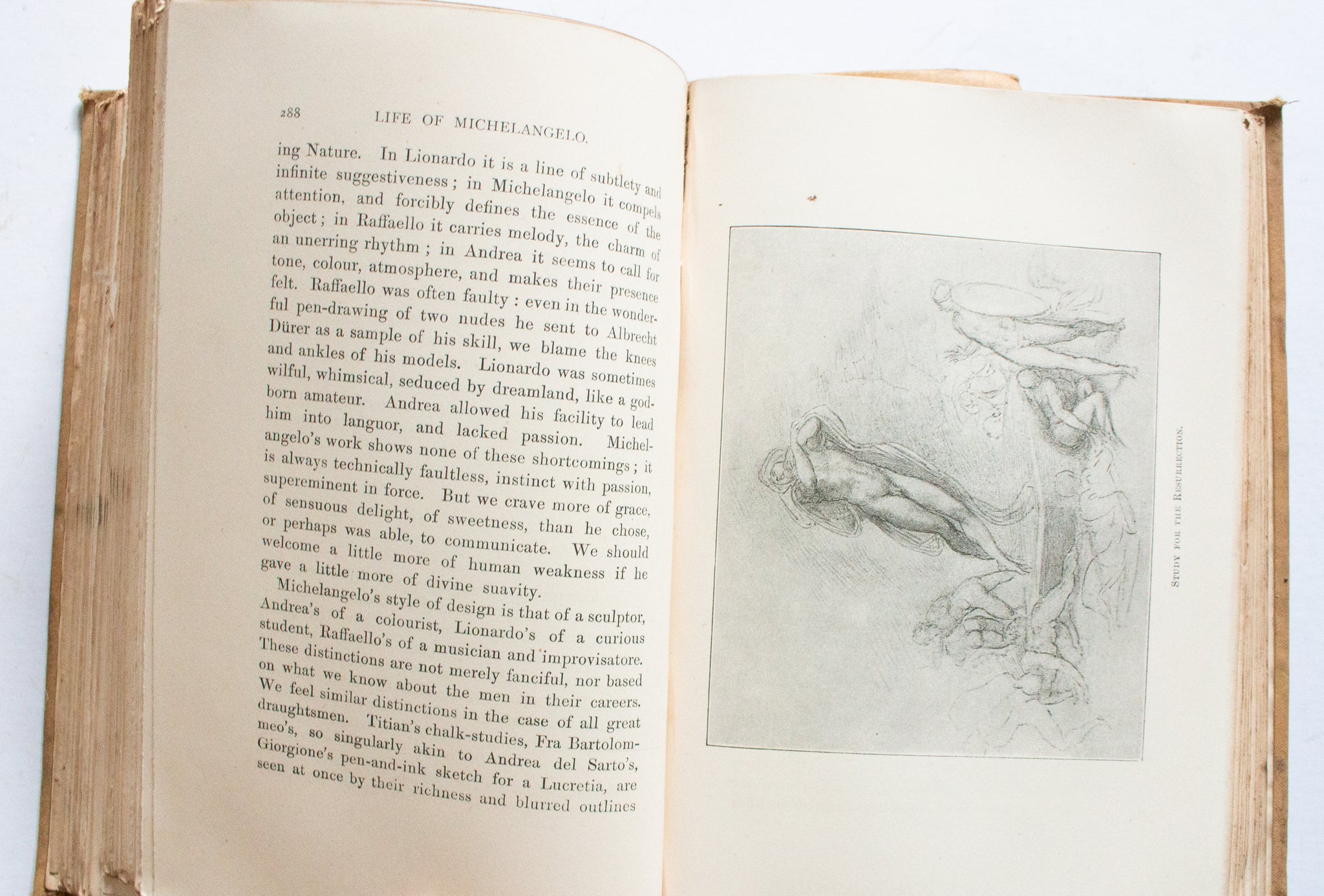 Vintage Art Book 'The Life of Michelangelo Buonarroti' in Two Volumes by John Addington Symonds, 1893