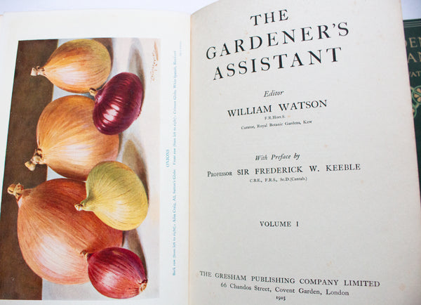 Vintage Gardening Books 'The Gardener's Assistant', 1925, William Watson Ed., Volumes 1-6 Complete