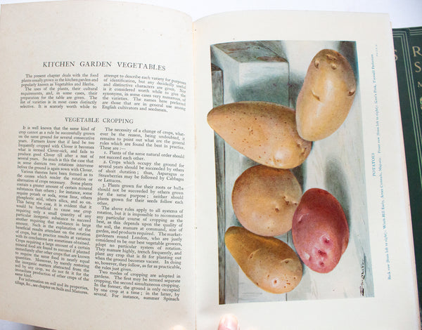 Vintage Gardening Books 'The Gardener's Assistant', 1925, William Watson Ed., Volumes 1-6 Complete
