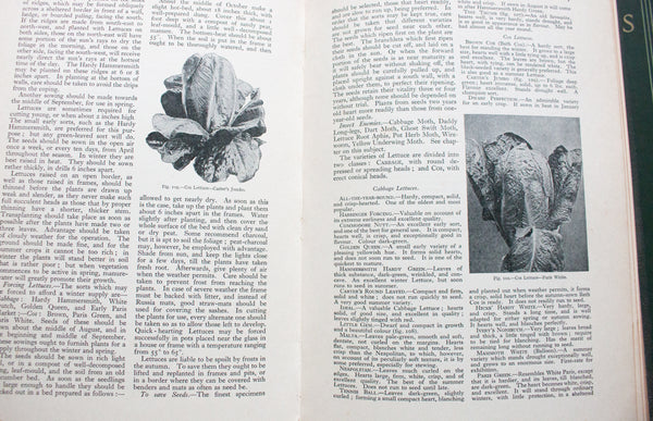 Vintage Gardening Books 'The Gardener's Assistant', 1925, William Watson Ed., Volumes 1-6 Complete