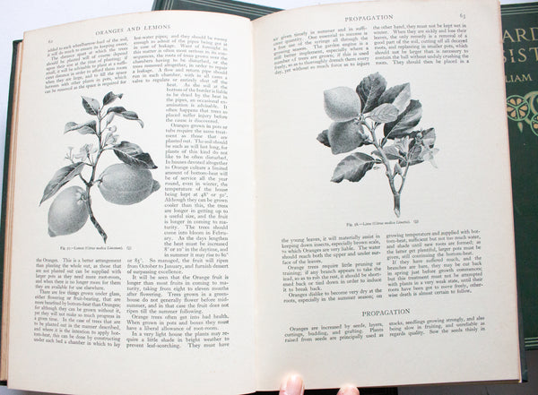 Vintage Gardening Books 'The Gardener's Assistant', 1925, William Watson Ed., Volumes 1-6 Complete