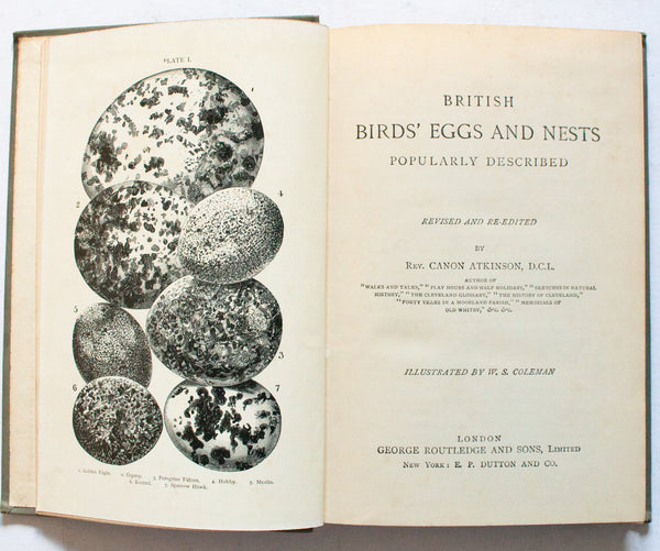 Antique Natural History Book 'British Birds' Eggs & Nests' by Rev. Canon Atkinson