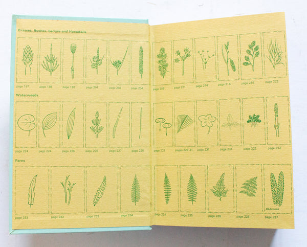 Botanical Book 'Finding Wild Flowers' by R. S. R. Fitter