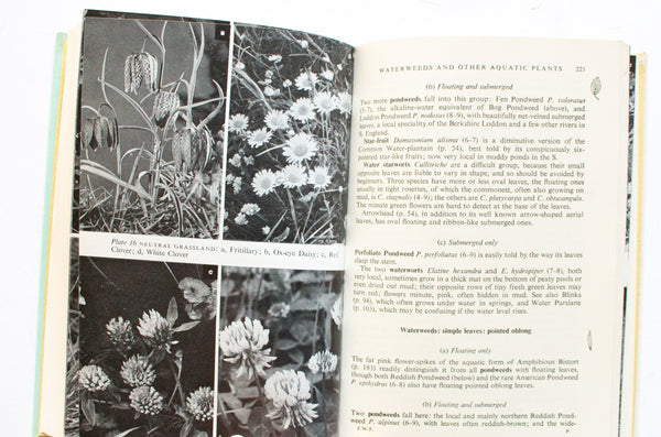 Botanical Book 'Finding Wild Flowers' by R. S. R. Fitter
