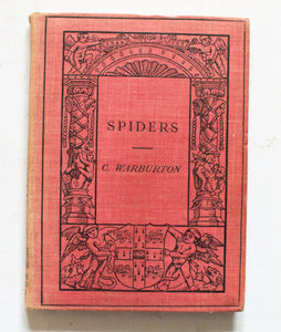 Antique Natural History Book 'Spiders' by C. Warburton 1912