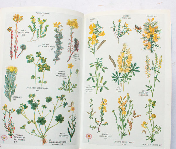 Botanical Book 'The Pocket Guide to Wild Flowers' by David McClintock, R. S. R. Fitter and Francis Rose, 1958