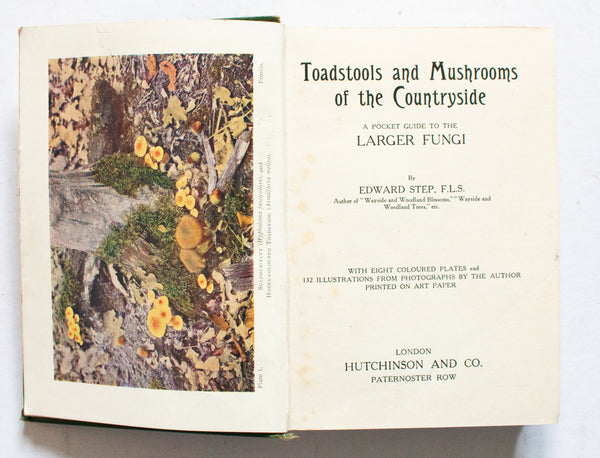 Antique Natural History Book 'Toadstools and Mushrooms of the Countryside' by Edward Step