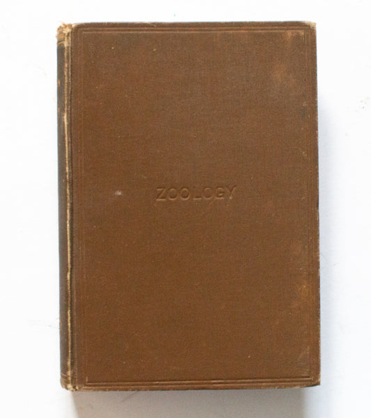 Antique Natural History Book 'Text-Book of Zoology' by H. G. Wells and A. M. Davies, 1898
