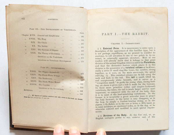 Antique Natural History Book 'Text-Book of Zoology' by H. G. Wells and A. M. Davies, 1898