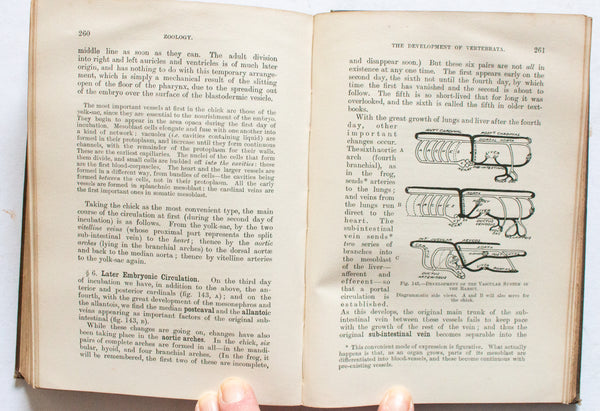 Antique Natural History Book 'Text-Book of Zoology' by H. G. Wells and A. M. Davies, 1898