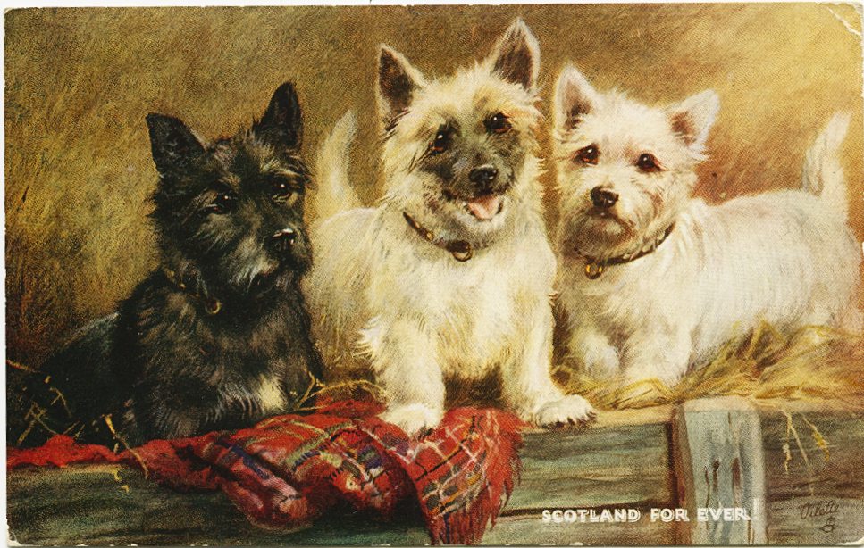 Tuck's 'Oilette' Postcard 'Scotland for Ever'