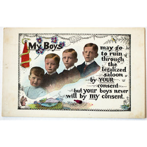 Temperance Postcard 'My Boys may go to ruin'