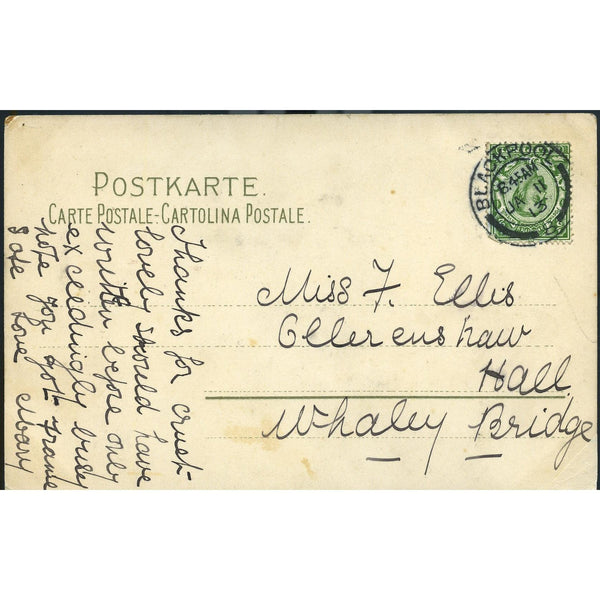 Postcard Fashionable Lady