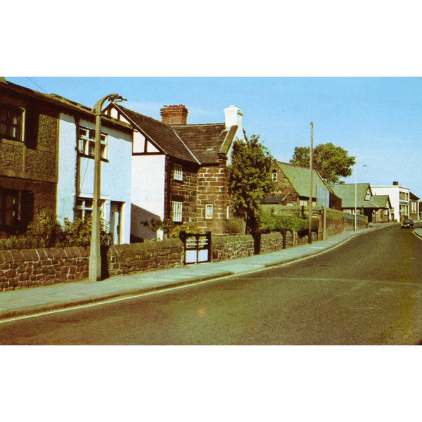 District View Publishing Company Colour Postcard 'Cottages, the Rake, Bromborough'