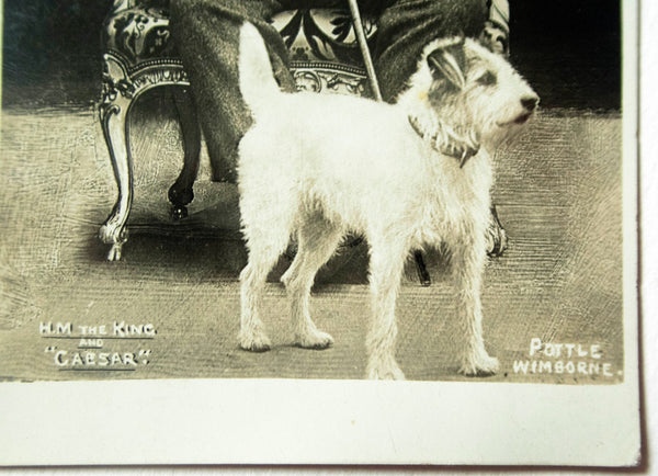 Real Photograph Portrait Postcard 'H.M. The King and 'Ceasar'', British Royal Family, Antique Photo, Vintage Postcard, Royal Memorabilia