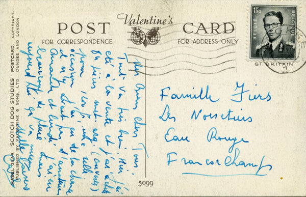 Valentine & Sons 'Scotch Dog Studies' Postcard 'Braw Lads' with French Translation